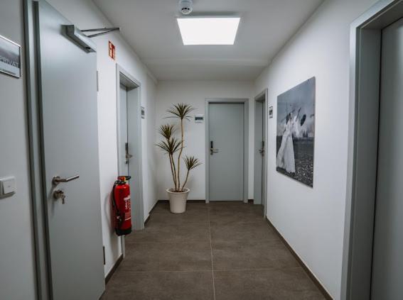 Mey Boardinghouse Aparthotel บีเลอเฟล์ด ภายนอก รูปภาพ